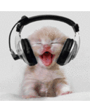 Cat Listening To Music Sticker - Cat Listening To Music Stickers