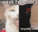 a picture of a cat with the words i have two sides prefix sum 2d prefix sum
