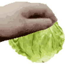 lettuce rub