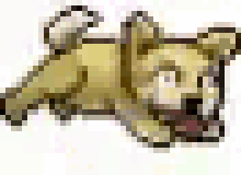 Shiba Inu Dog Lihkg GIF - Shiba Inu Dog Lihkg Run GIFs