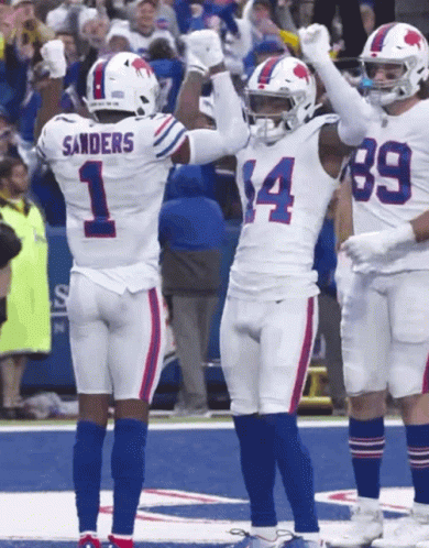 Buffalo Bills GIF - Buffalo Bills Squish The Fish - Discover & Share GIFs