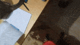 a cat playing with a pen on a piece of paper