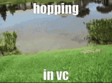 Turtle Hop In Vc GIF - Turtle Hop In Vc Hopping In Vc GIFs
