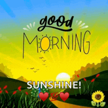 a picture of a sunrise with the words good morning sunshine written on it