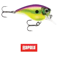 a purple and yellow fishing lure with hooks and a red logo that says rapala