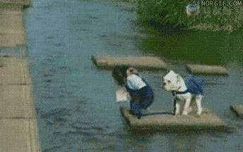 Motivating Monkey Pulling Dog To Make Him Jump The Water. Monkey Succeeds.  GIF - Monkey Dog Motivating - Discover & Share GIFs