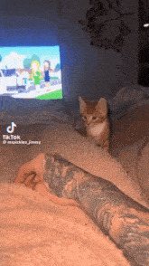 Cat He Was Not Expecting GIF - Cat He Was Not Expecting Orange Cat GIFs