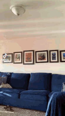 a living room with a blue couch and a row of framed pictures on the wall
