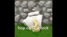 Hop On Skyblock Skyblock GIF - Hop On Skyblock Skyblock Gaming GIFs
