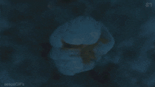 an aerial view of a city at night with espagifs written on the bottom left