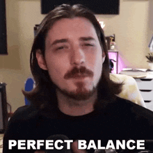 Perfect Balance Aaron Brown GIF - Perfect Balance Aaron Brown Bionicpig GIFs