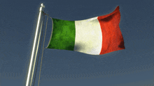 a green white and red flag flies in the wind