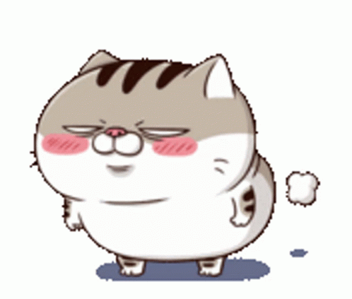 Ami Fat Cat Fart Sticker – Ami Fat Cat Fart Felt Good – Откриване и