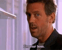 Hugh Laurie Im Your Boss GIF