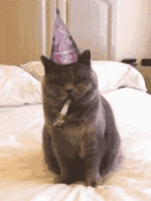 Happy Birthday Cat GIF - Happy Birthday Cat Greeting GIFs