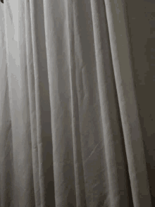 White Curtain GIF - White Curtain GIFs