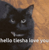 Hello Tiesha Hi GIF - Hello Tiesha Hello Hi GIFs