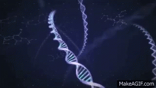 animation-universe.gif