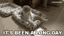 Long Day Its Been A Long Day GIF - Long Day Its Been A Long Day Funny Animals GIFs