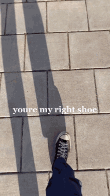 Shoe Matt GIF