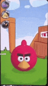 Red Bird Funny GIF