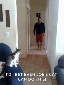 Cat High Five GIF - Cat High Five Whats Up GIFs