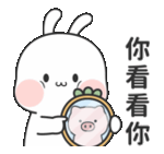a rabbit is looking at itself in a mirror with chinese writing .