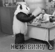 GIF