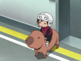 a person wearing a white helmet is riding a capybara