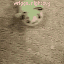 Wriggle Nightbug Touhou GIF