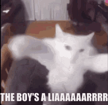 The Boys A Liar Pt2 Cat GIF - The Boys A Liar Pt2 The Boys A Liar Cat GIFs