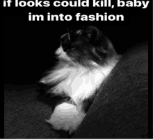 If Looks Could Kill Baby Im Into Fashion GIF - If Looks Could Kill Baby Im Into Fashion GIFs