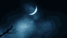Cheshire Cat GIF - Cheshire Cat Moon GIFs