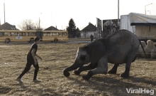 Elephant Rise Above GIF - Elephant Rise Above Circus GIFs