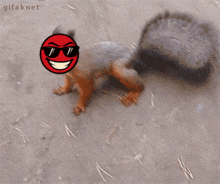 a squirrel wearing sunglasses has a red smiley face on its face