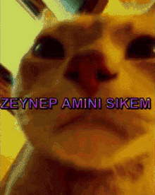 Zeynep GIF