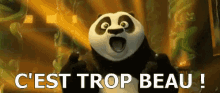 panda excited woah wow po