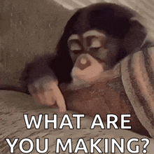 a chimpanzee is laying on a bed with its eyes closed and pointing at something .