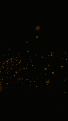 ignite hub is written on a dark background