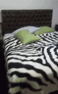 bedroom bed zebra print