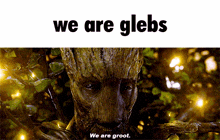 Glebs Groot GIF - Glebs Groot We Are Glebs GIFs