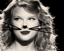 Whiskers GIF - Taylor Swift GIFs