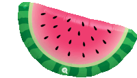 Watermelon Summer Sticker - Watermelon Summer Fruit Stickers
