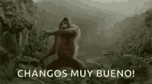 Changos Muy Bueno Monkey GIF - Changos Muy Bueno Monkey Bailador GIFs