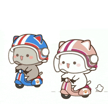 two cartoon cats are riding scooters with helmets on
