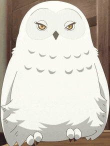 a white owl with a yellow eye is sitting on a wooden table