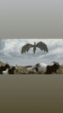 a dragon flying over a herd of goats in a field