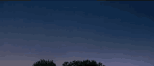 Forest Gump Stars GIF