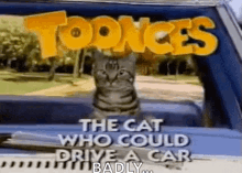 Toonces Driving Cat GIF - Toonces Driving Cat The Cat Who Could Drive A Car Badly GIFs