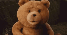 Teddy Bear Movie GIF